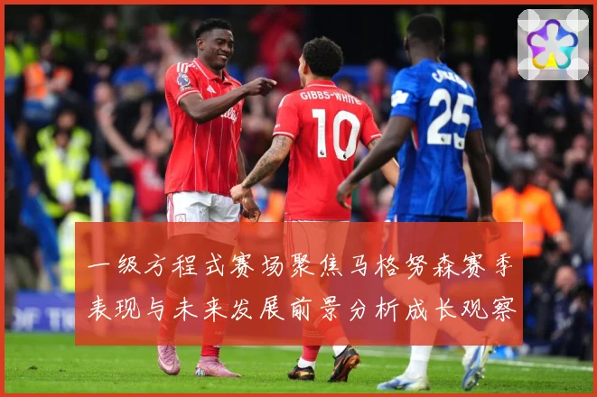 一级方程式赛场聚焦马格努森赛季表现与未来发展前景分析成长观察-深度解析