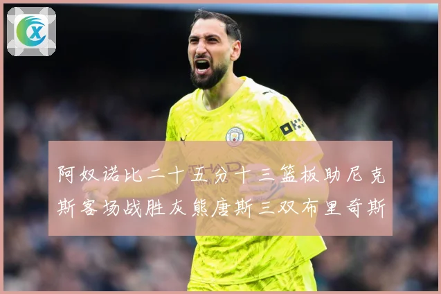 阿奴诺比二十五分十三篮板助尼克斯客场战胜灰熊唐斯三双布里奇斯专题观察-深度解析