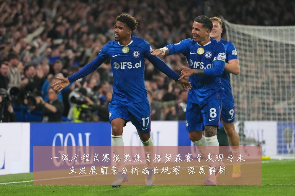 一级方程式赛场聚焦马格努森赛季表现与未来发展前景分析成长观察-深度解析